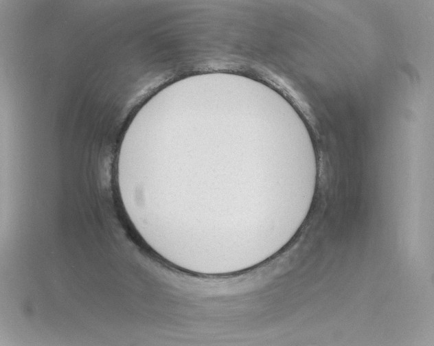 X0000115840010200912111342