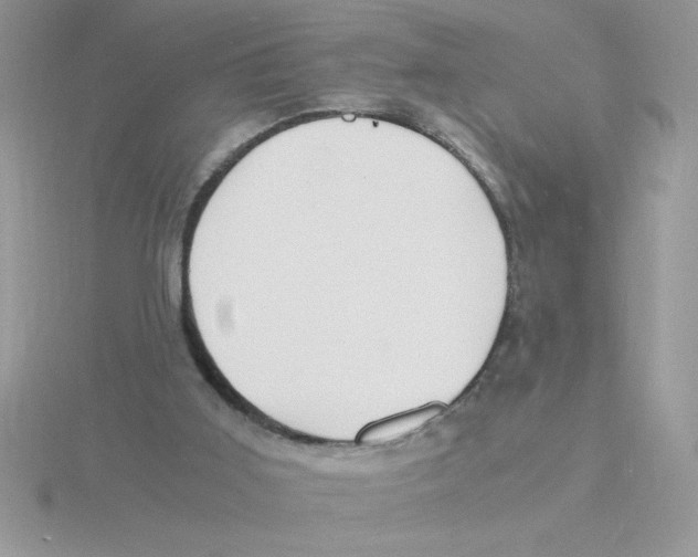 X0000115840011200912111342