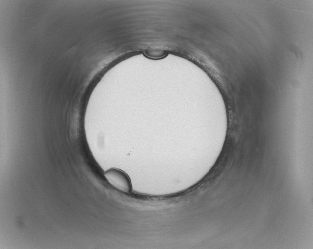 X0000115840012200912111342