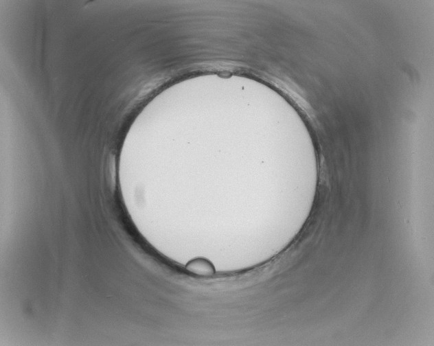 X0000115840013200912111342