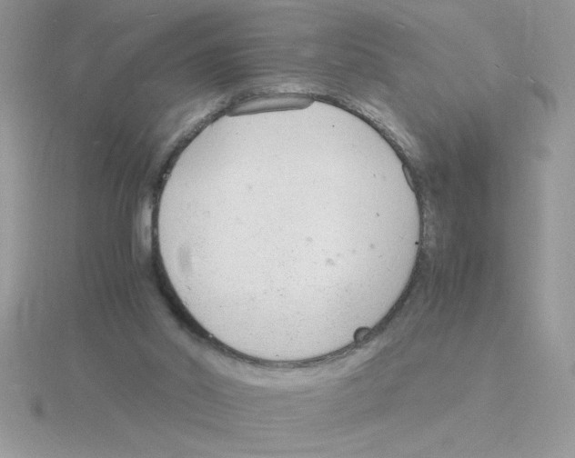 X0000115840014200912111342