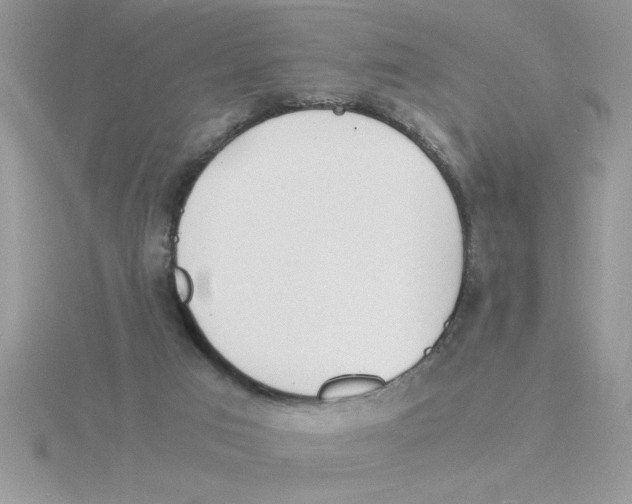 X0000115840017200912111342