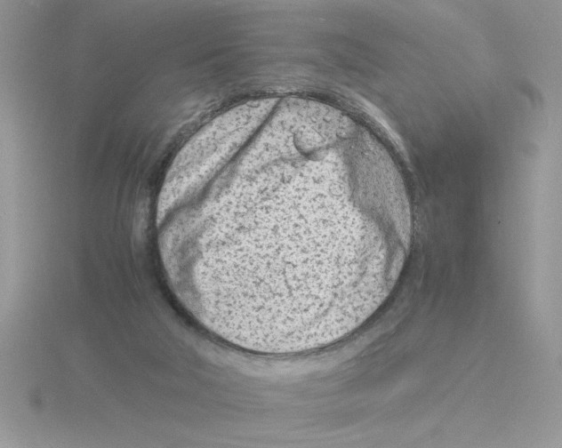 X0000115840018200912111342