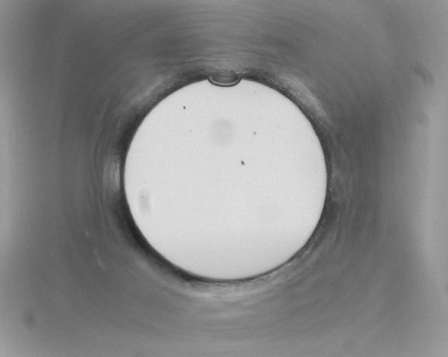 X0000115840021200912111342