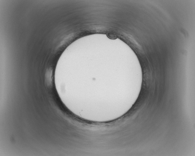 X0000115840024200912111342