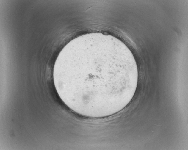 X0000115840025200912111342