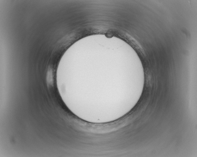 X0000115840026200912111342