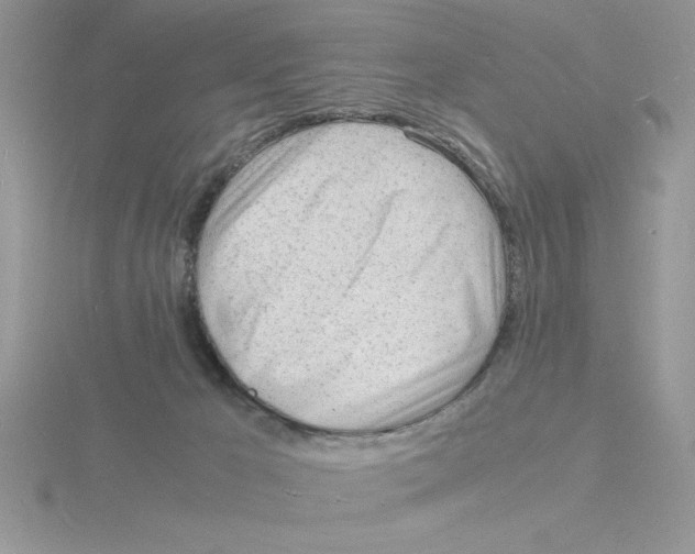 X0000115840029200912111342