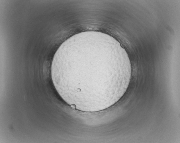 X0000115840030200912111342