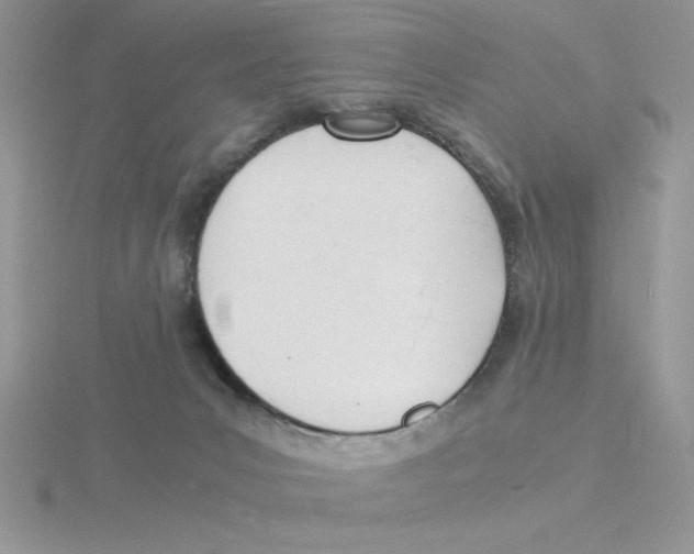 X0000115840031200912111342