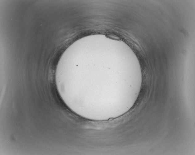 X0000115840033200912111342