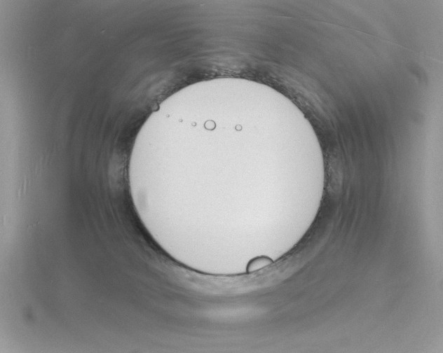 X0000115840034200912111342