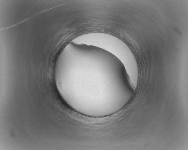 X0000115840035200912111342