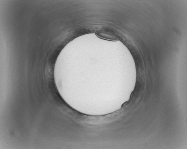 X0000115840037200912111342