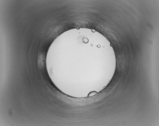 X0000115840038200912111342