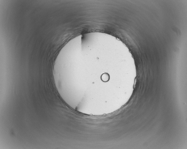 X0000115840041200912111342