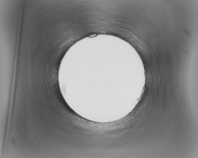 X0000115840043200912111342