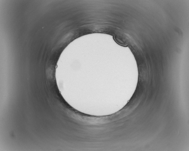 X0000115840044200912111342