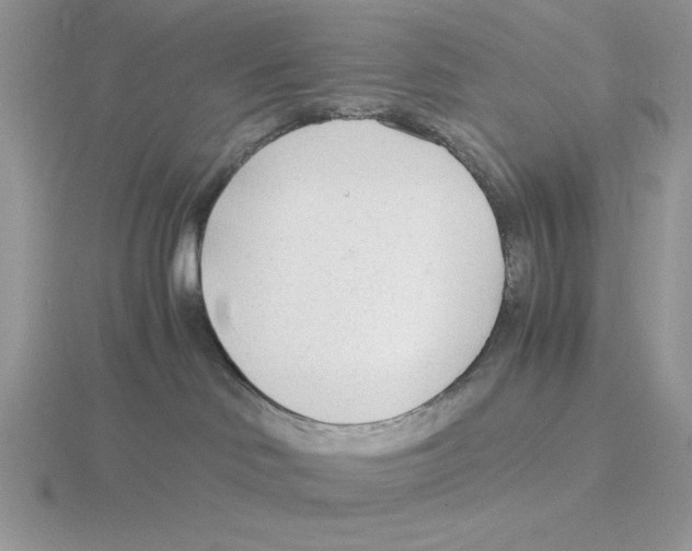 X0000115840046200912111342