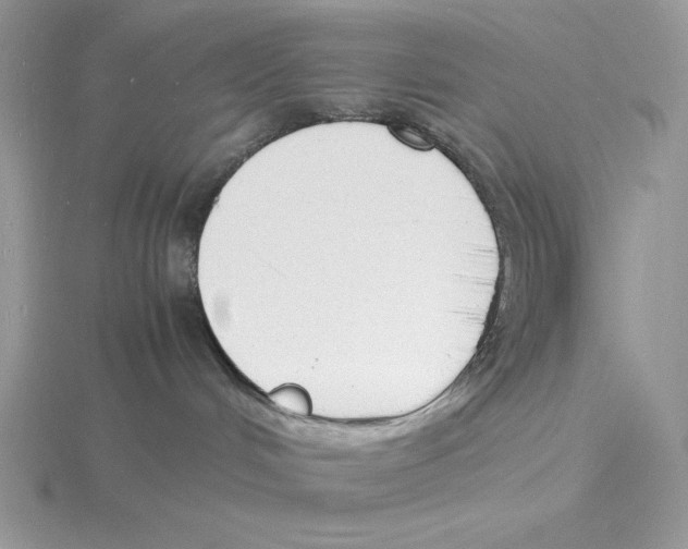 X0000115840048200912111342