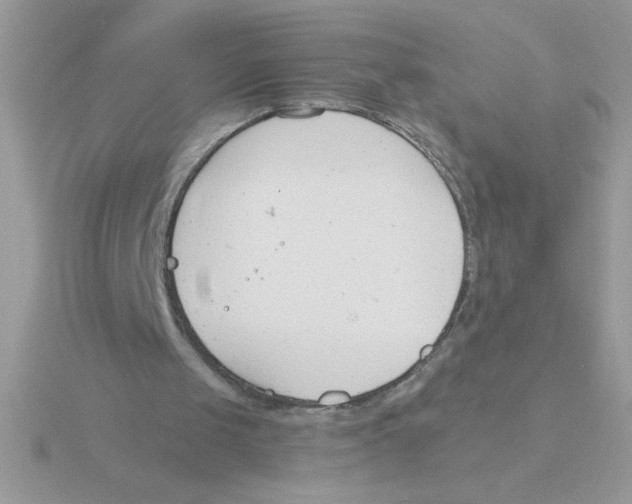 X0000115840049200912111341