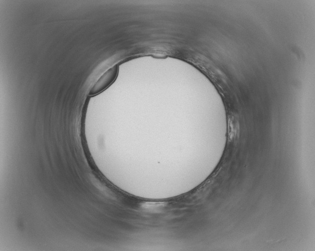 X0000115840051200912111341