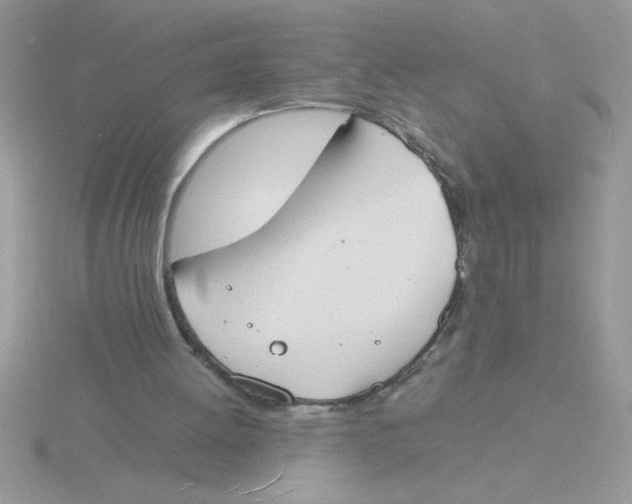 X0000115840052200912111341