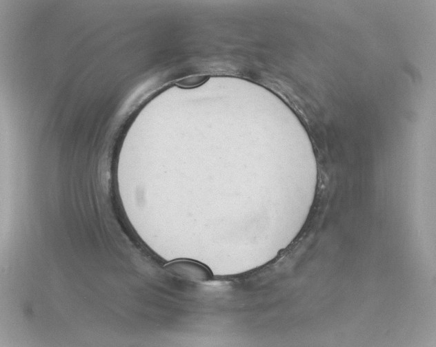 X0000115840053200912111341