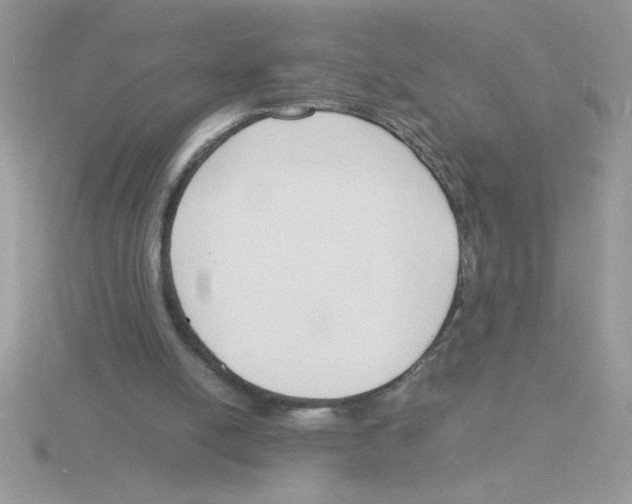 X0000115840054200912111341