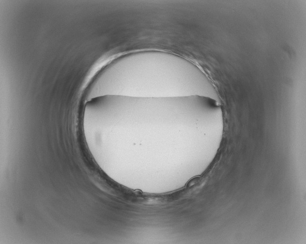 X0000115840056200912111341