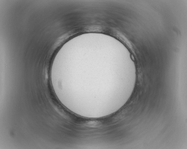 X0000115840059200912111341