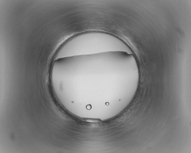 X0000115840060200912111341