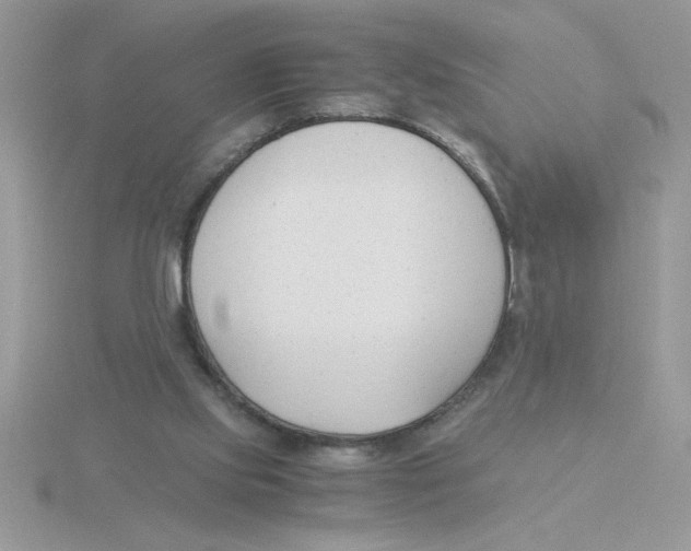 X0000115840061200912111341