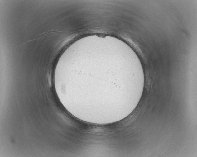 X0000115840062200912111341