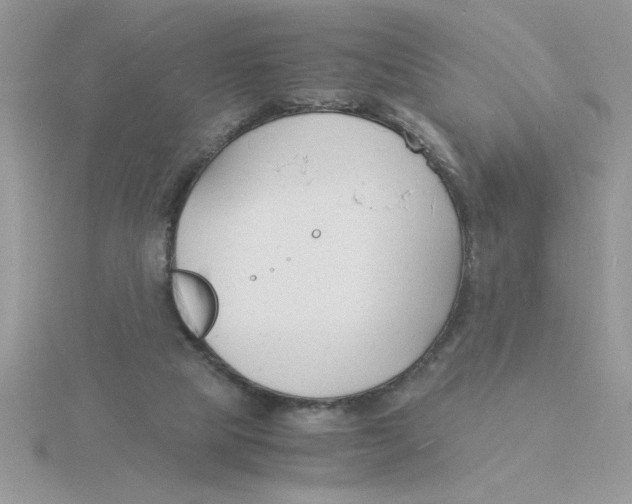 X0000115840065200912111342