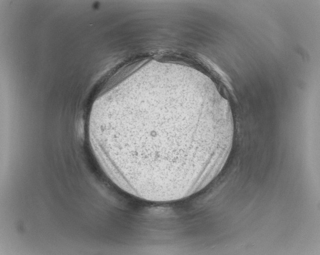 X0000115840067200912111342