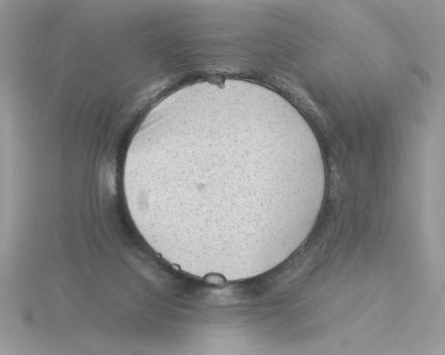 X0000115840068200912111342