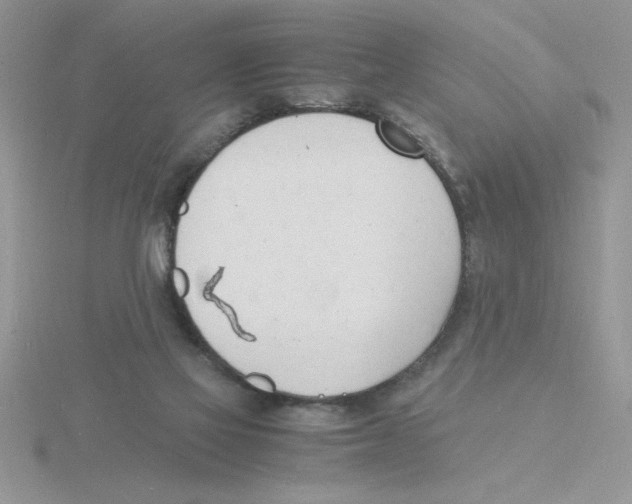 X0000115840069200912111342