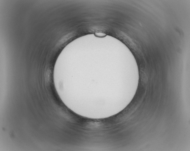 X0000115840071200912111342