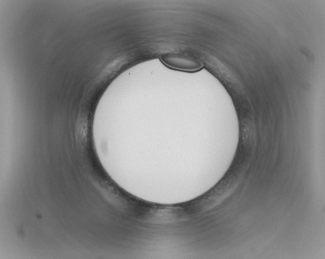 X0000115840072200912111342