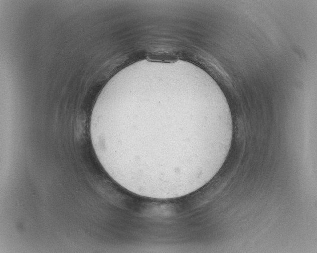 X0000115840073200912111342