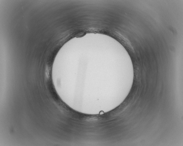 X0000115840075200912111342