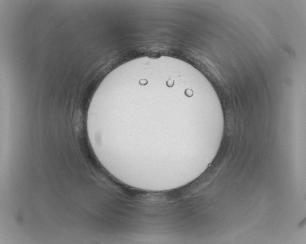 X0000115840077200912111342