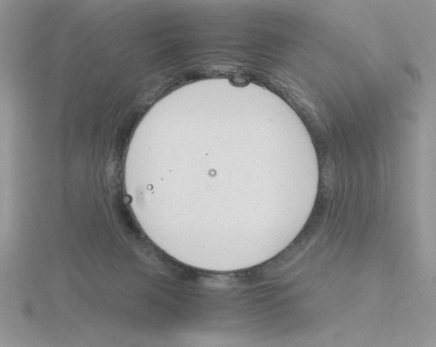 X0000115840079200912111342