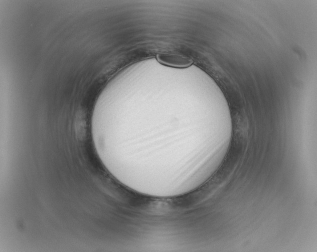 X0000115840080200912111342