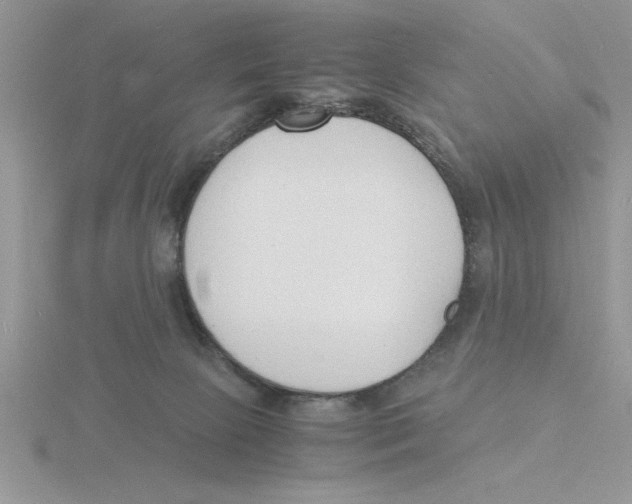 X0000115840081200912111342