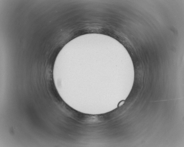 X0000115840083200912111342