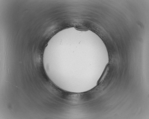 X0000115840084200912111342