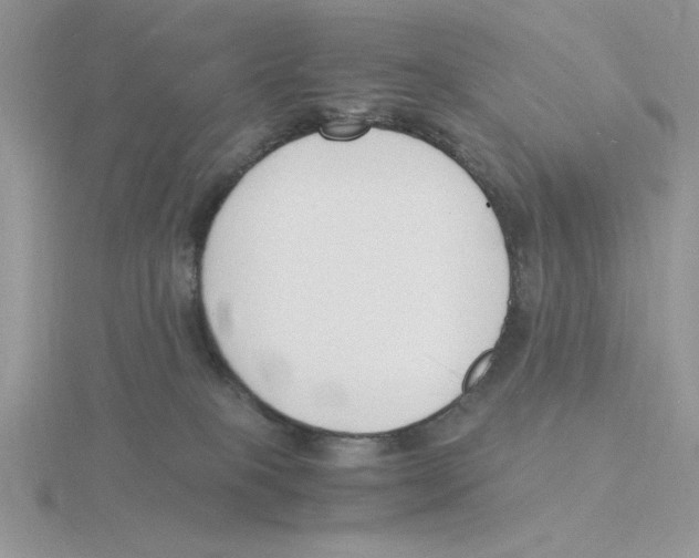 X0000115840085200912111342