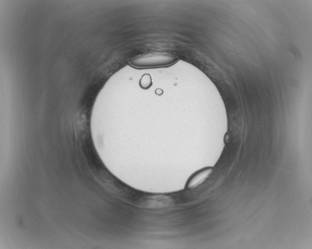 X0000115840087200912111342